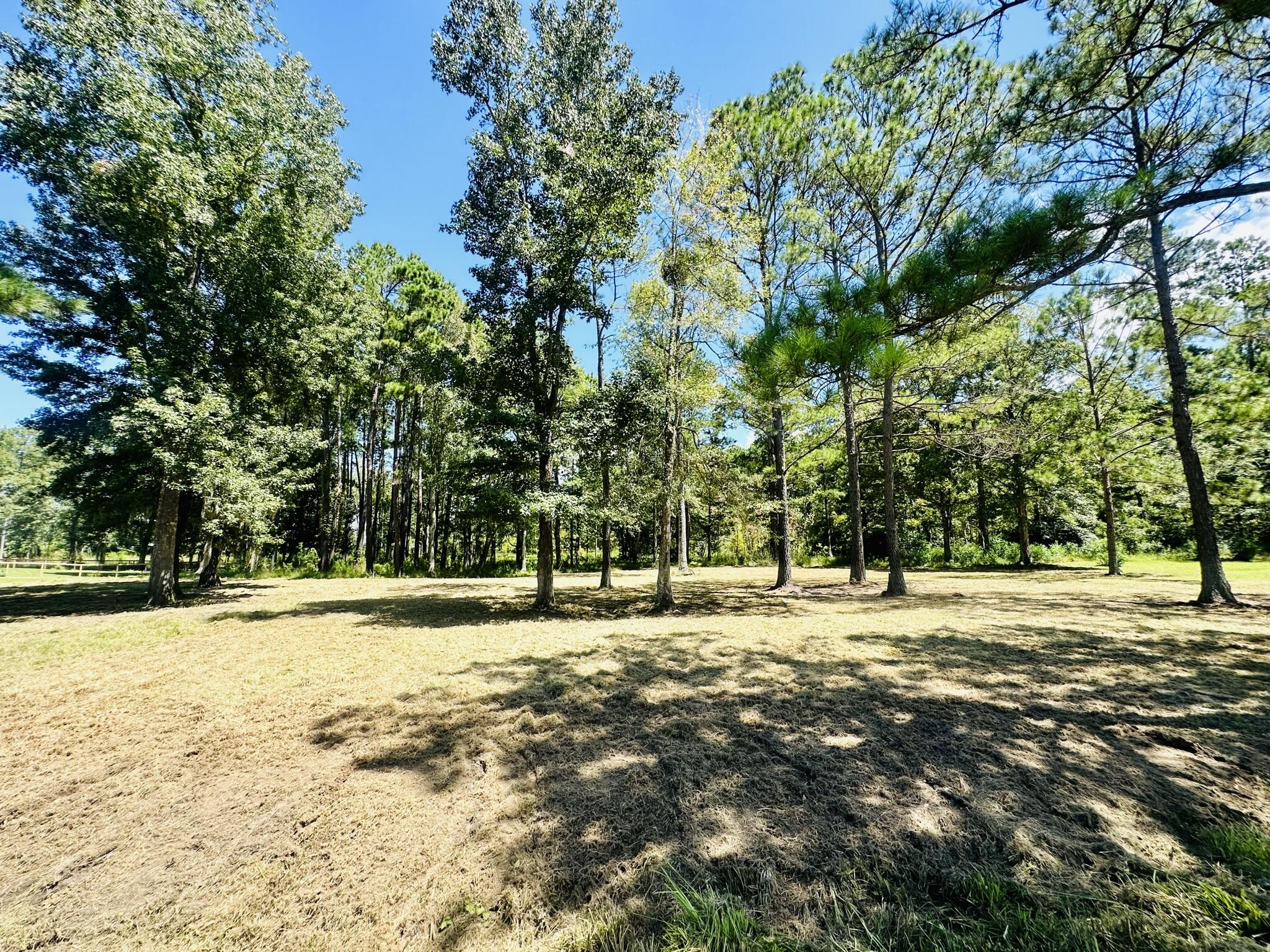 1426 Pinopolis Road Moncks Corner, SC 29461 - Photo 7 of 9 FBB7AF24-8466-4B61-9766-B66FBCD38D02