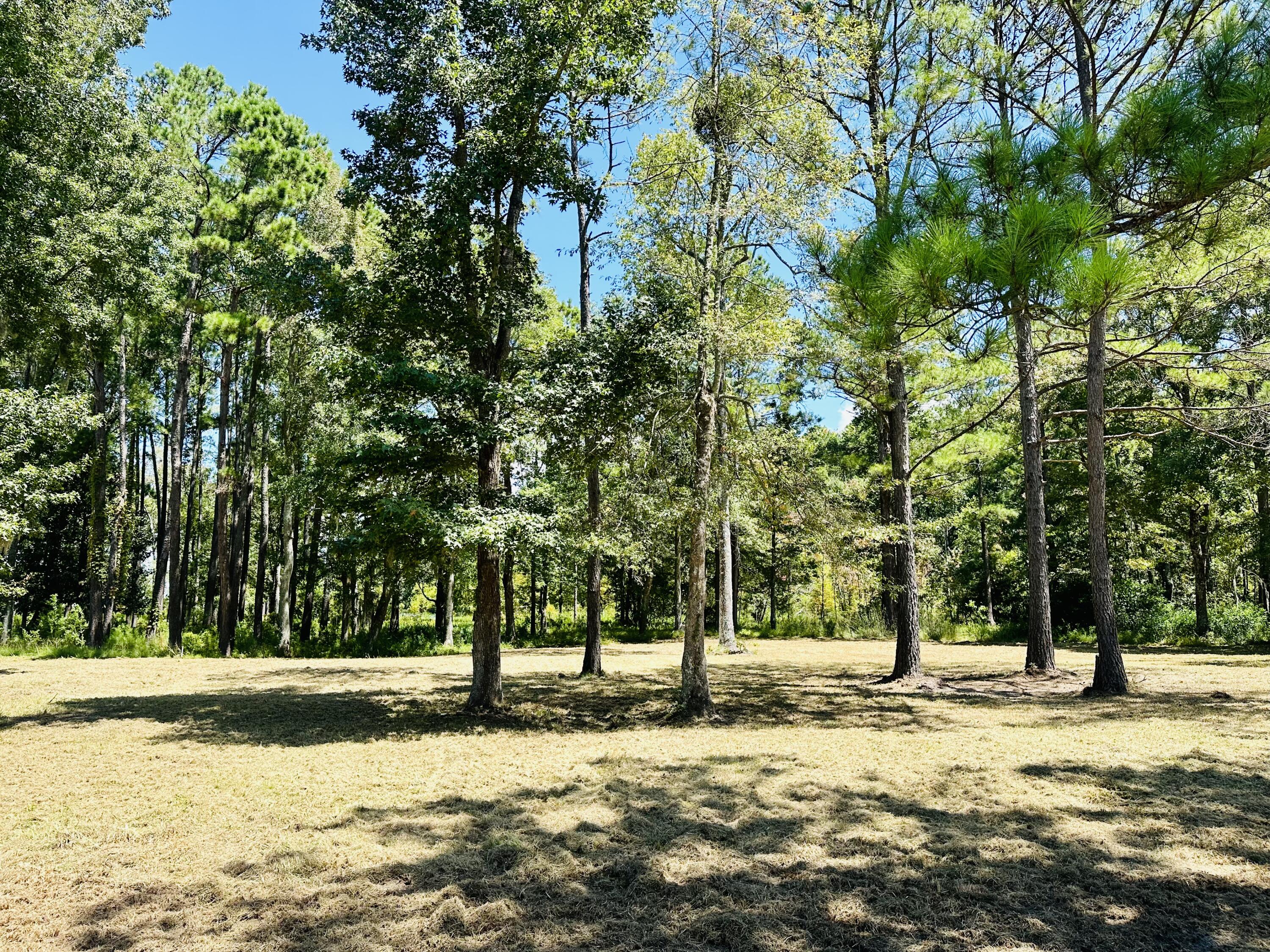 1426 Pinopolis Road Moncks Corner, SC 29461 - Photo 8 of 9 28575254-0BFA-4093-91F1-C7484B730715