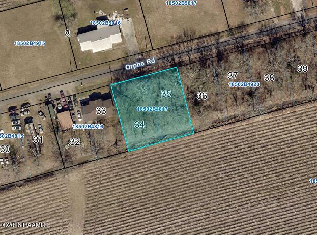 Tbd Orphe Road, Unit 34 & 35 St. Martinville, LA 70582 - Photo 2 of 5 Assessor View