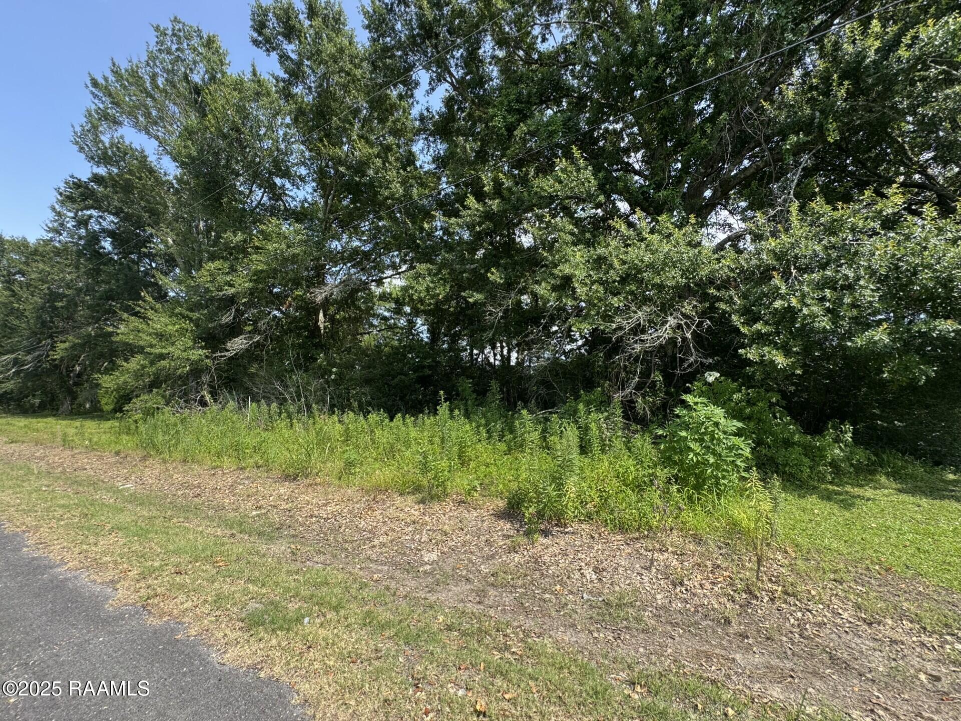 Tbd Orphe Road, Unit 34 & 35 St. Martinville, LA 70582 - Photo 3 of 5 ORPHE ROAD