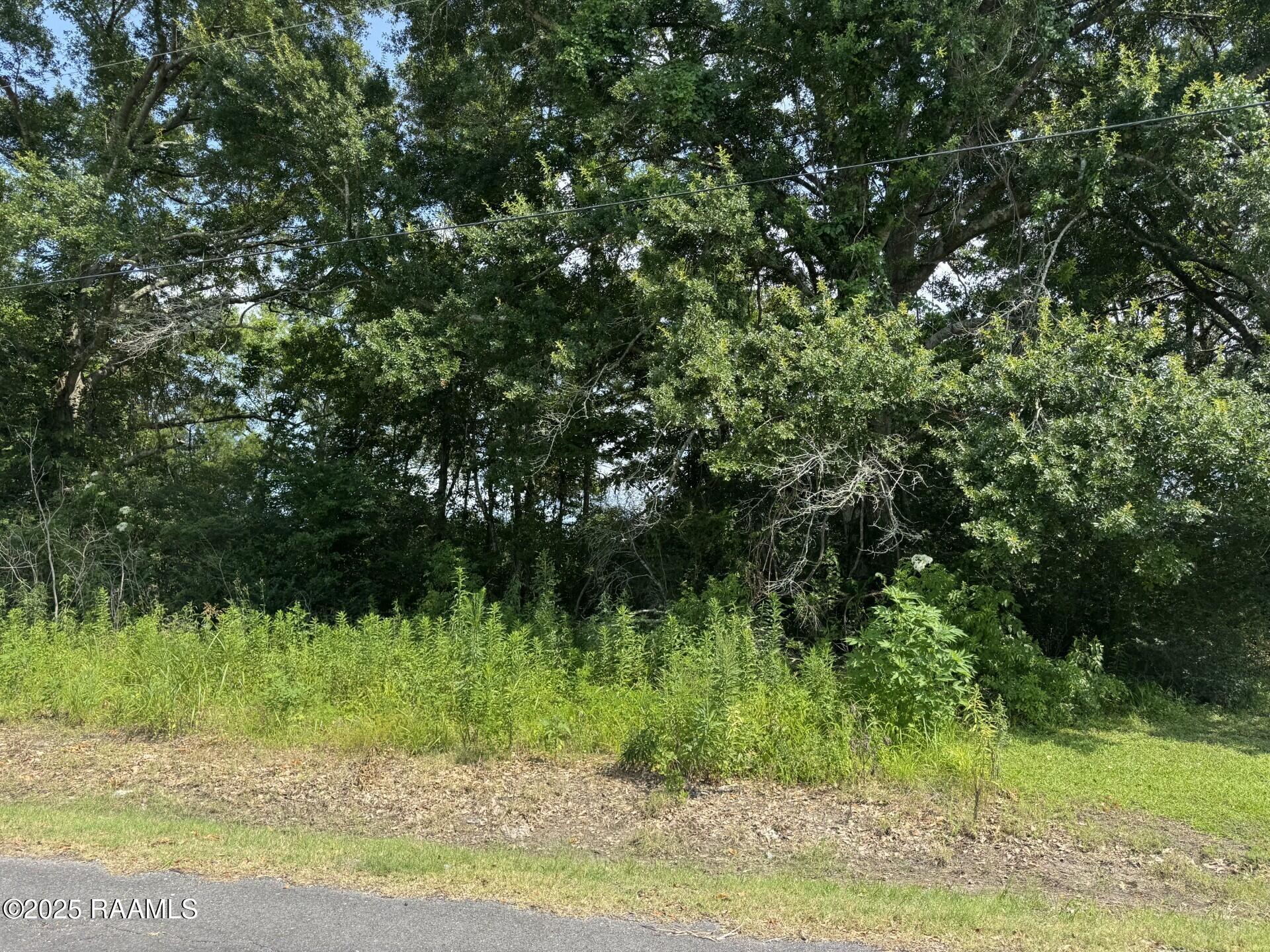 Tbd Orphe Road, Unit 34 & 35 St. Martinville, LA 70582 - Photo 4 of 5 ORPHE ROAD