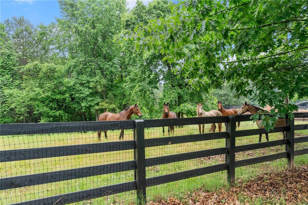 7215 Kelly Bridge Road Dawsonville, GA 30534 - Photo 54 of 87