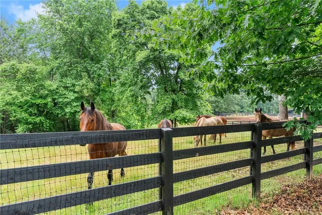 $2,669,000 | 7215 Kelly Bridge Road, Dawsonville, GA 30534