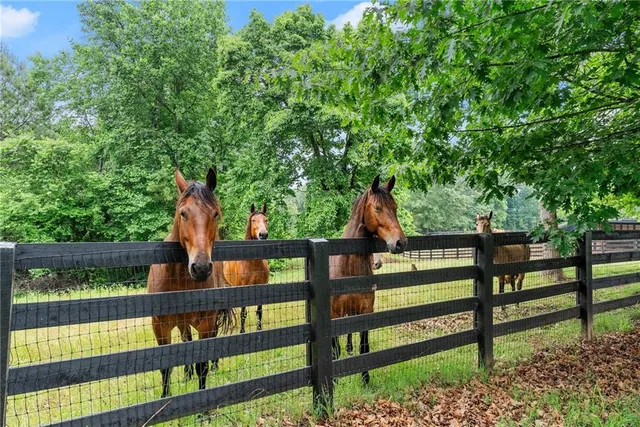 $2,669,000 | 7215 Kelly Bridge Road, Dawsonville, GA 30534