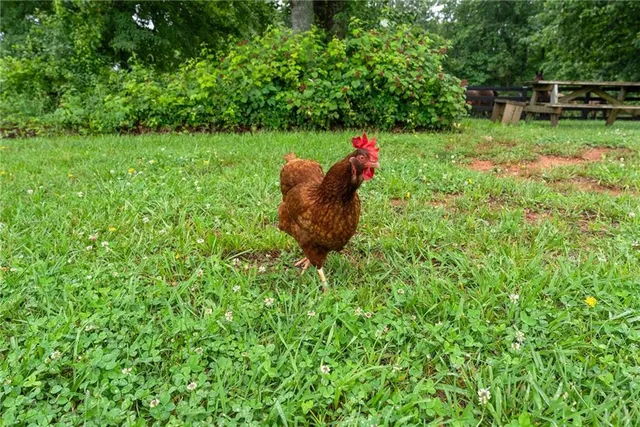 $2,669,000 | 7215 Kelly Bridge Road, Dawsonville, GA 30534