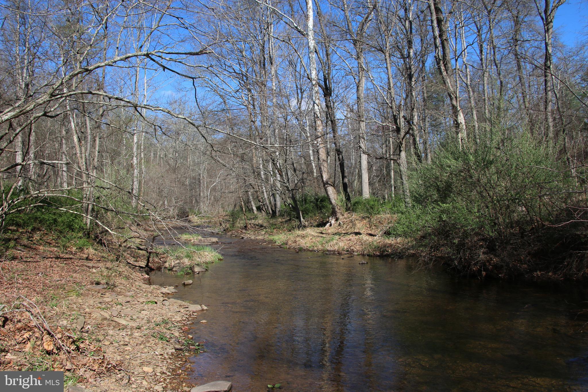 a view of river covered with trees