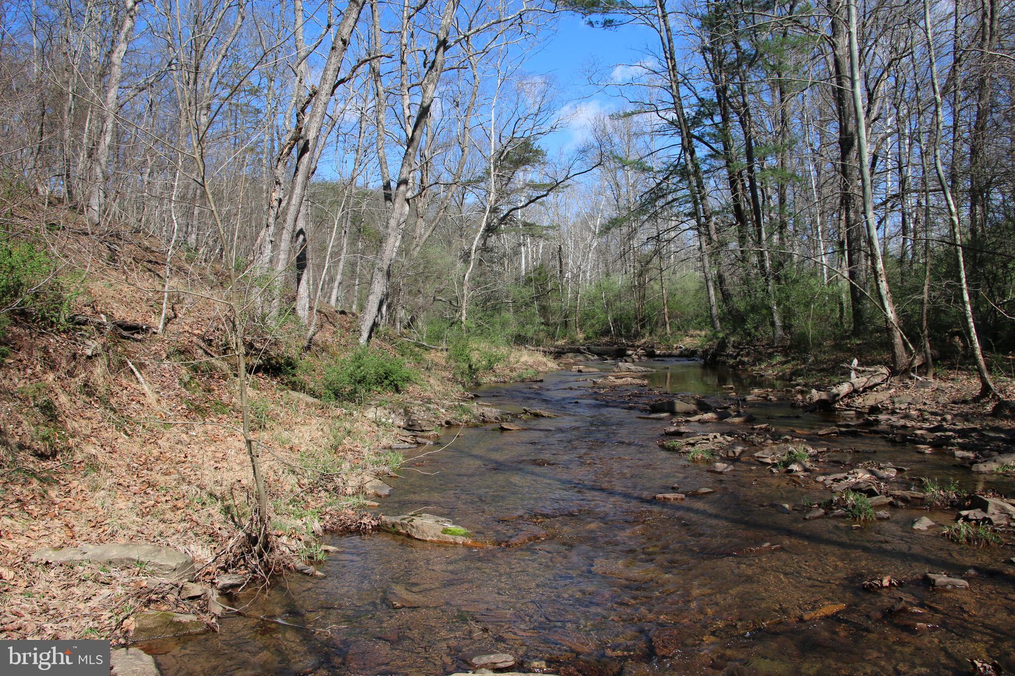 Brush Creek Road Winchester, VA 22603 - Photo 11 of 45 a view of a forest with trees