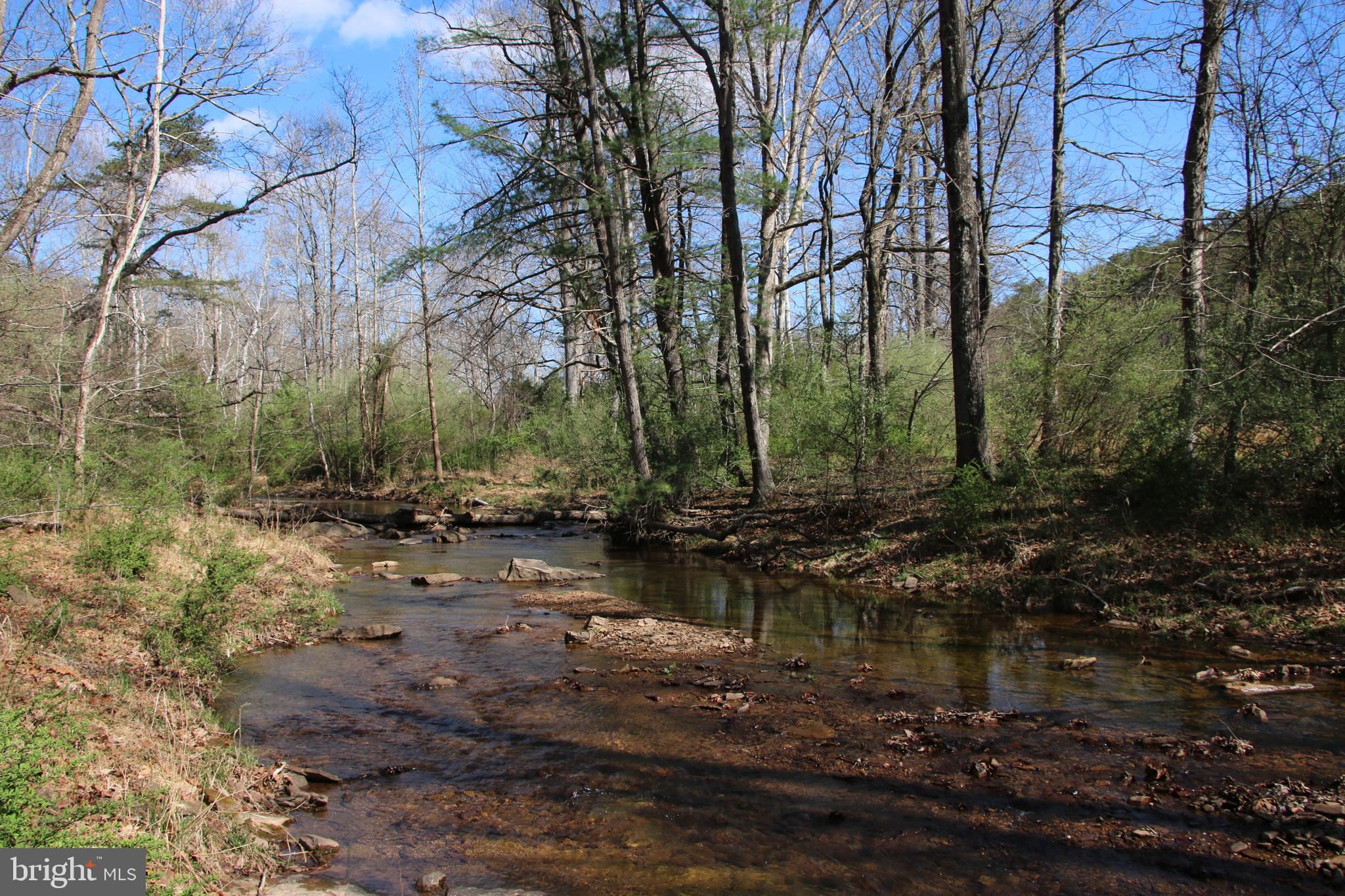 Brush Creek Road Winchester, VA 22603 - Photo 13 of 45 a backyard of a house with lots of green space