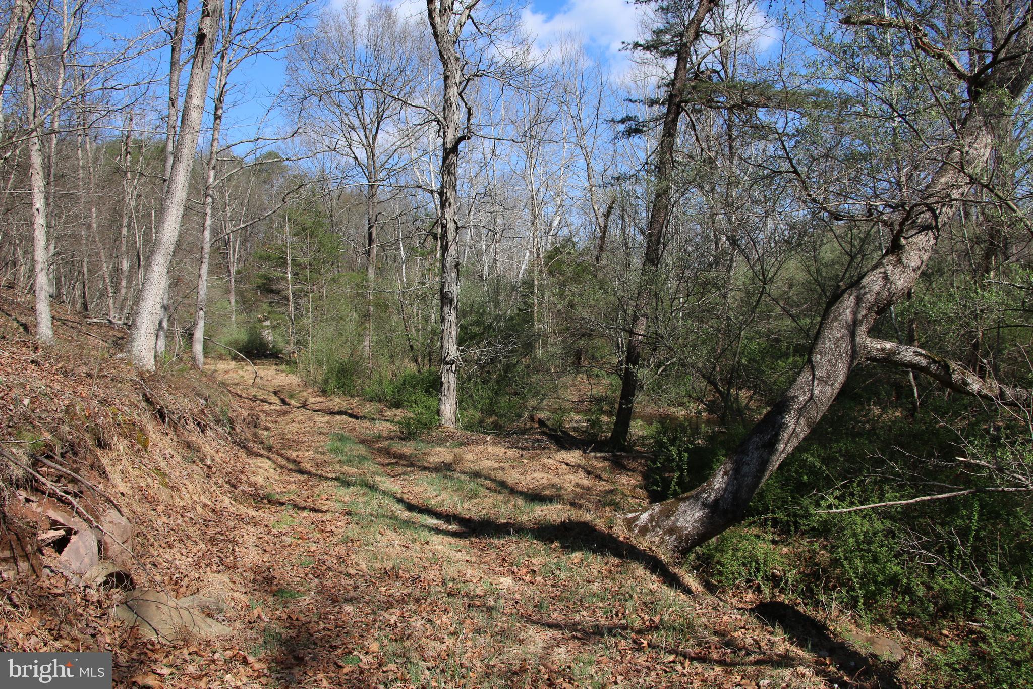 Brush Creek Road Winchester, VA 22603 - Photo 16 of 45 a view of a forest with trees