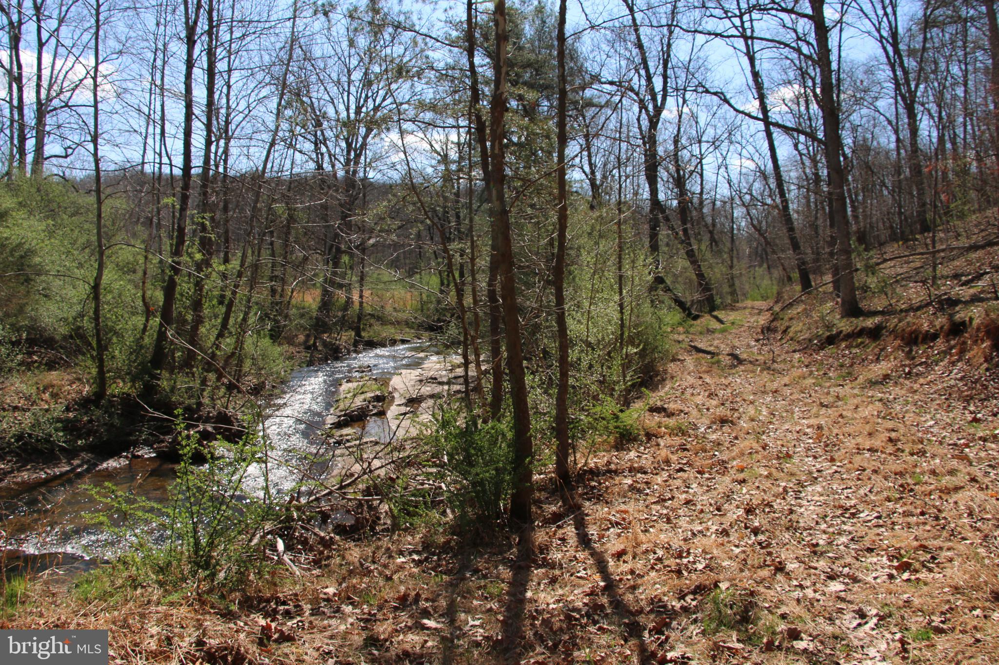 Brush Creek Road Winchester, VA 22603 - Photo 17 of 45 a view of a forest that has large trees