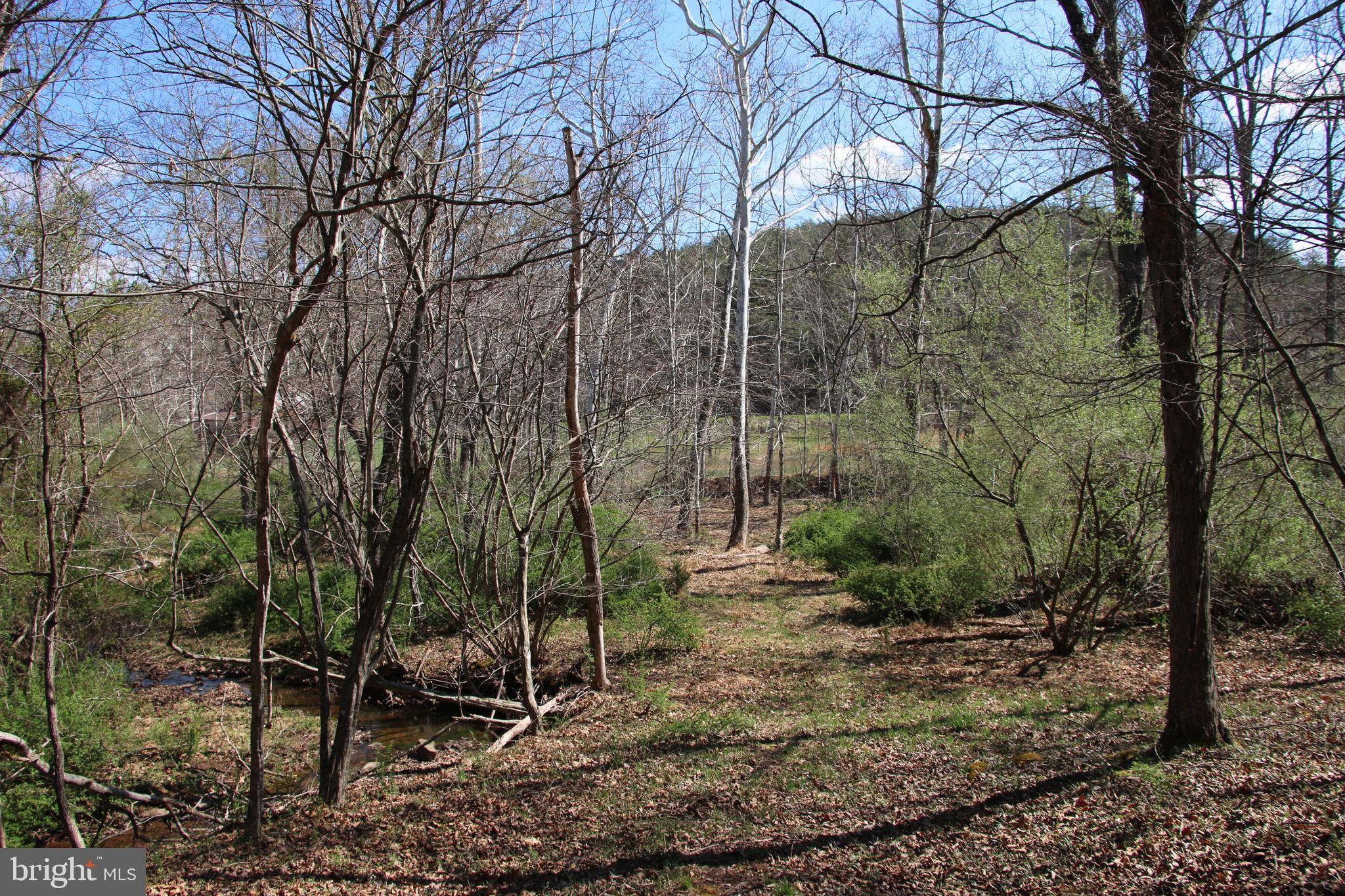 Brush Creek Road Winchester, VA 22603 - Photo 18 of 45 a backyard of a house with lots of green space