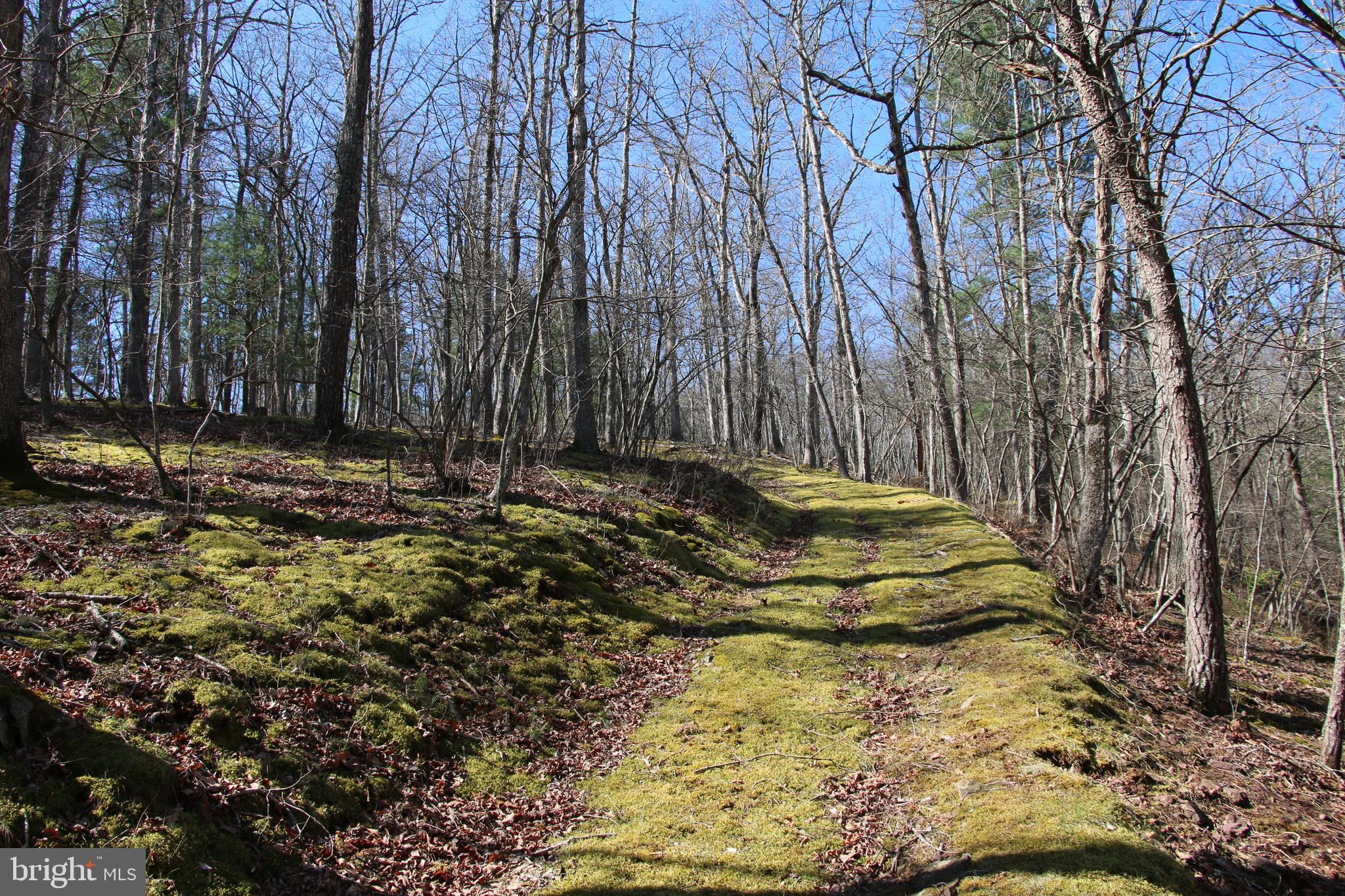 Brush Creek Road Winchester, VA 22603 - Photo 19 of 45 a view of outdoor space with deck