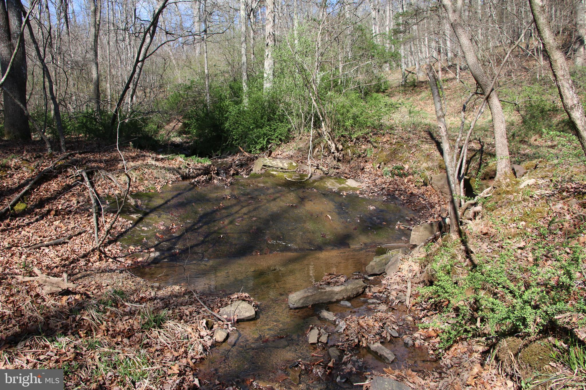 Brush Creek Road Winchester, VA 22603 - Photo 20 of 45 a view of outside area