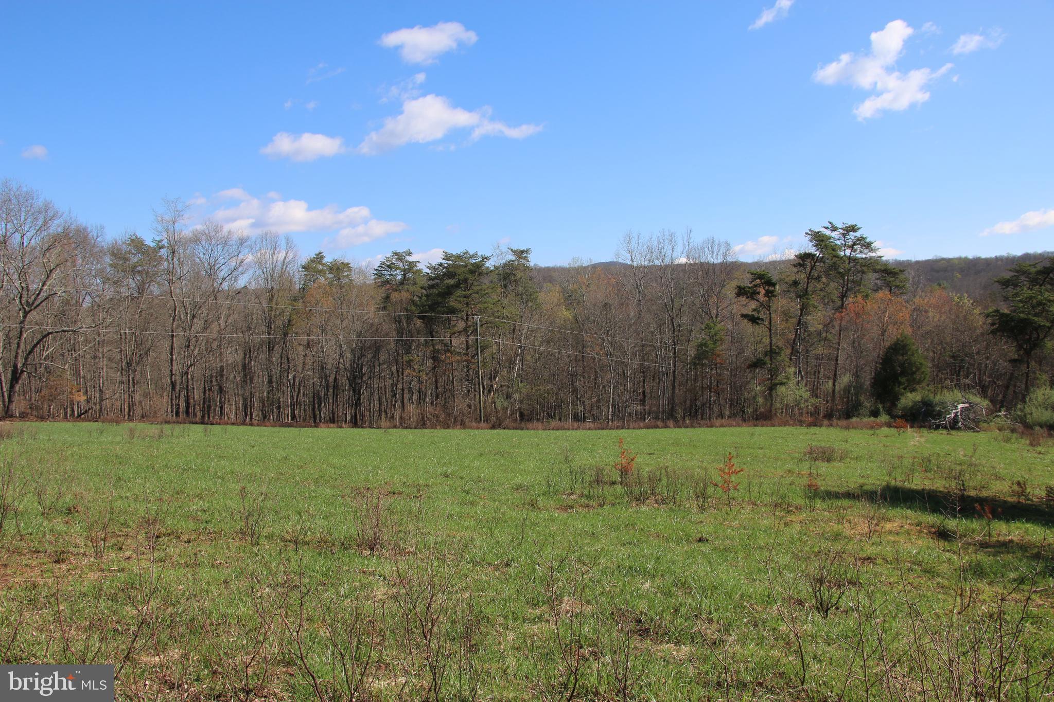 Brush Creek Road Winchester, VA 22603 - Photo 2 of 45 a view of grassy field with mountain in the background