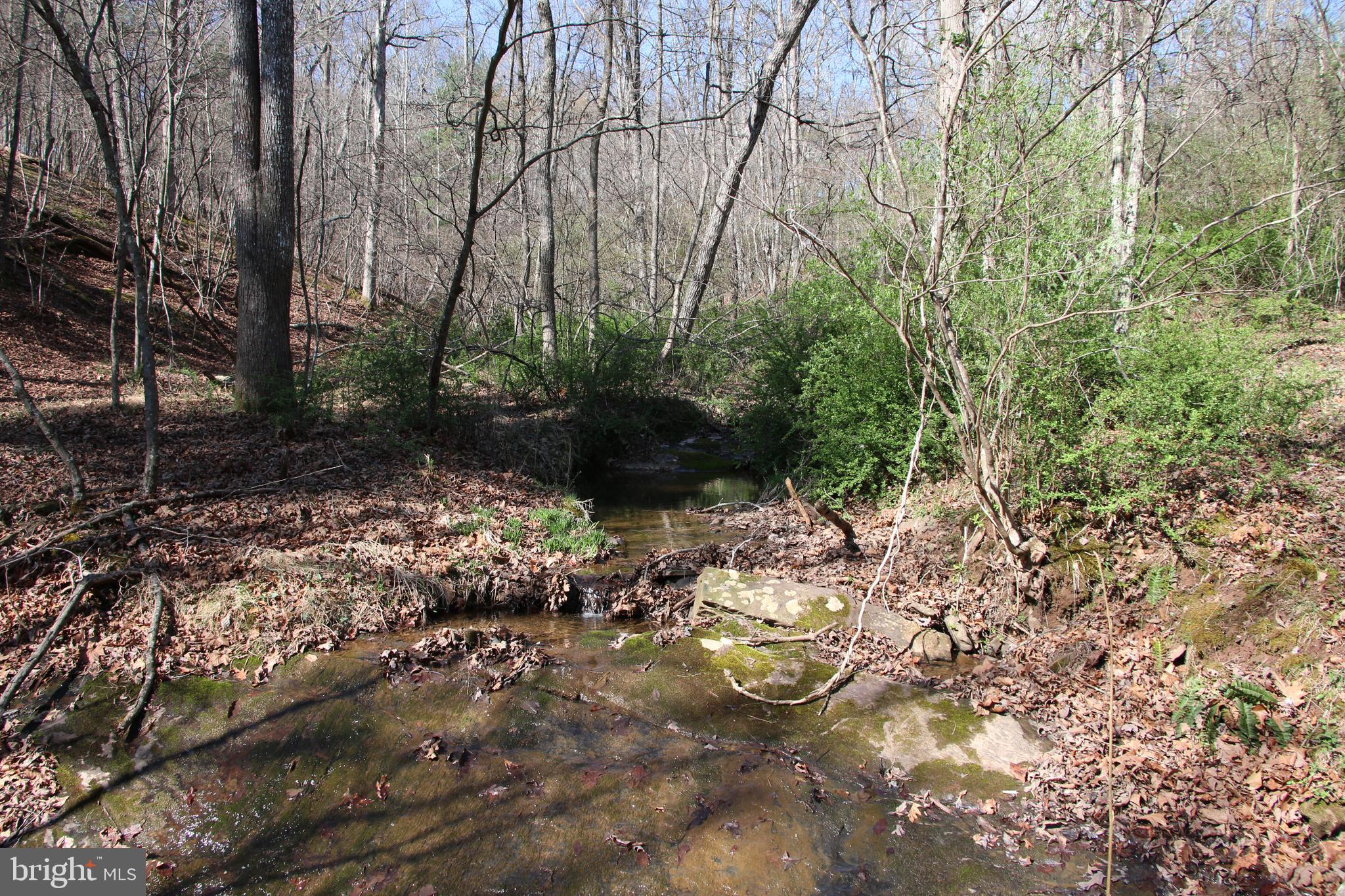 Brush Creek Road Winchester, VA 22603 - Photo 21 of 45 a view of a yard with plants and trees