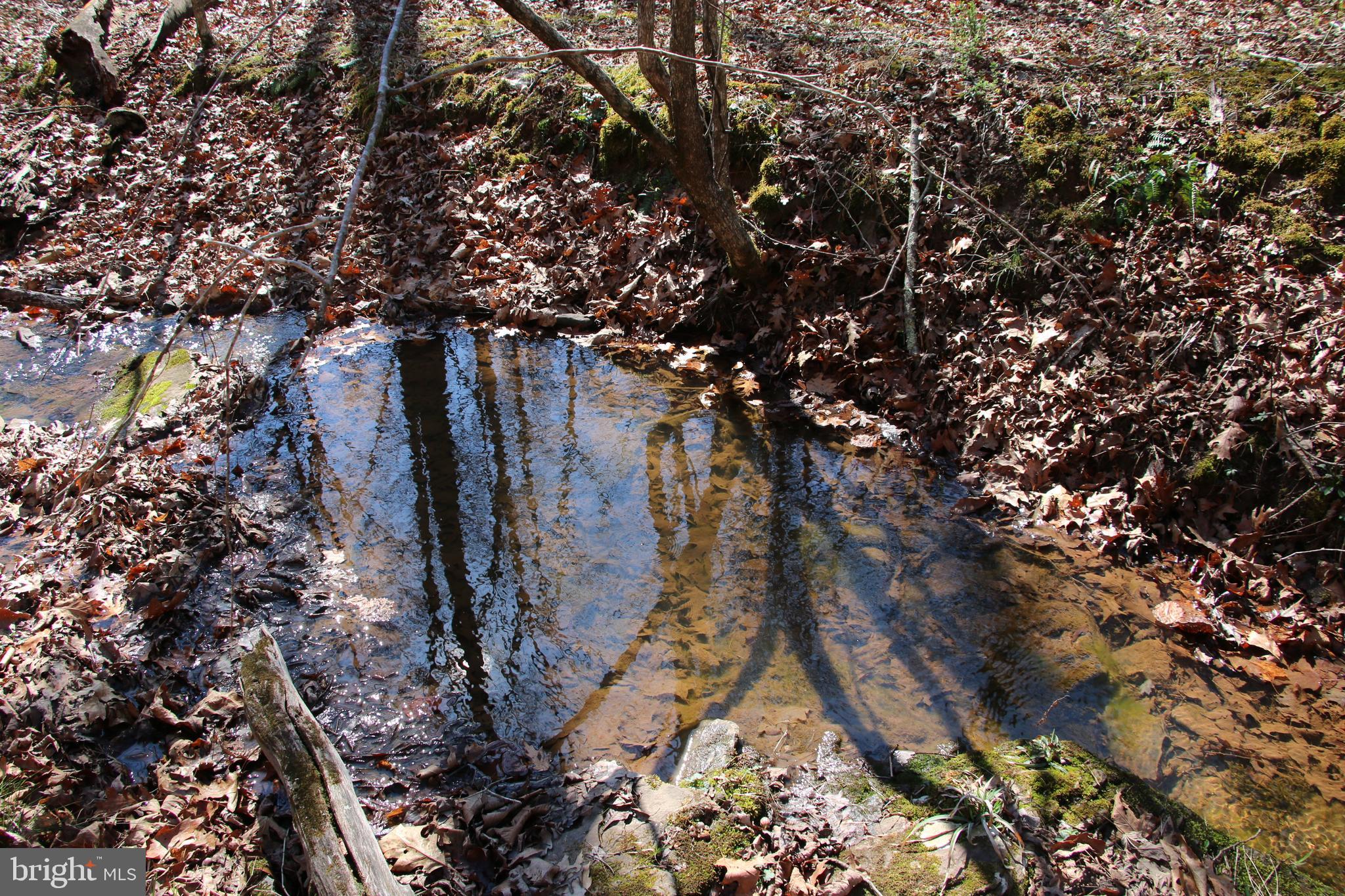 Brush Creek Road Winchester, VA 22603 - Photo 24 of 45 a backyard of a house with lots of tree