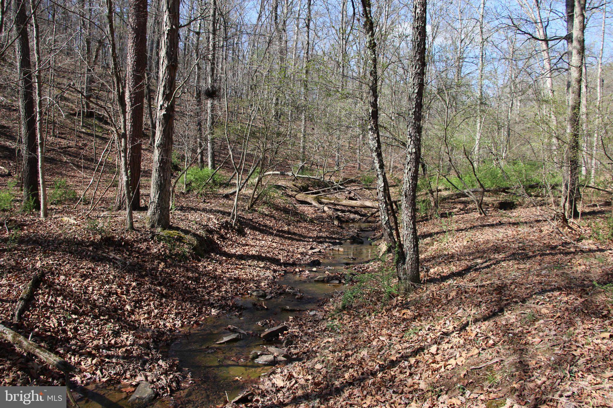 Brush Creek Road Winchester, VA 22603 - Photo 26 of 45 a view of a yard with trees