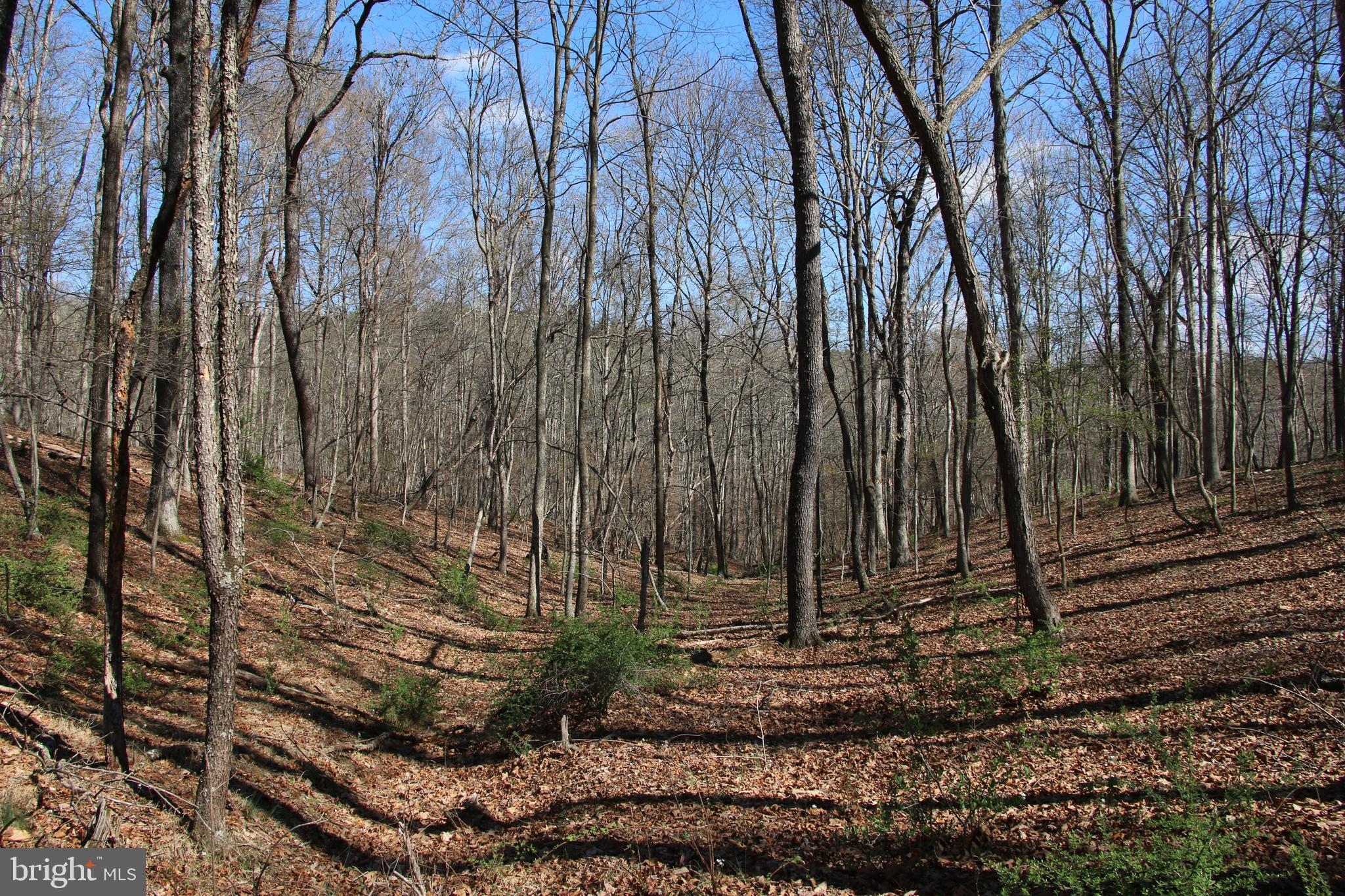 Brush Creek Road Winchester, VA 22603 - Photo 28 of 45 a view of a backyard
