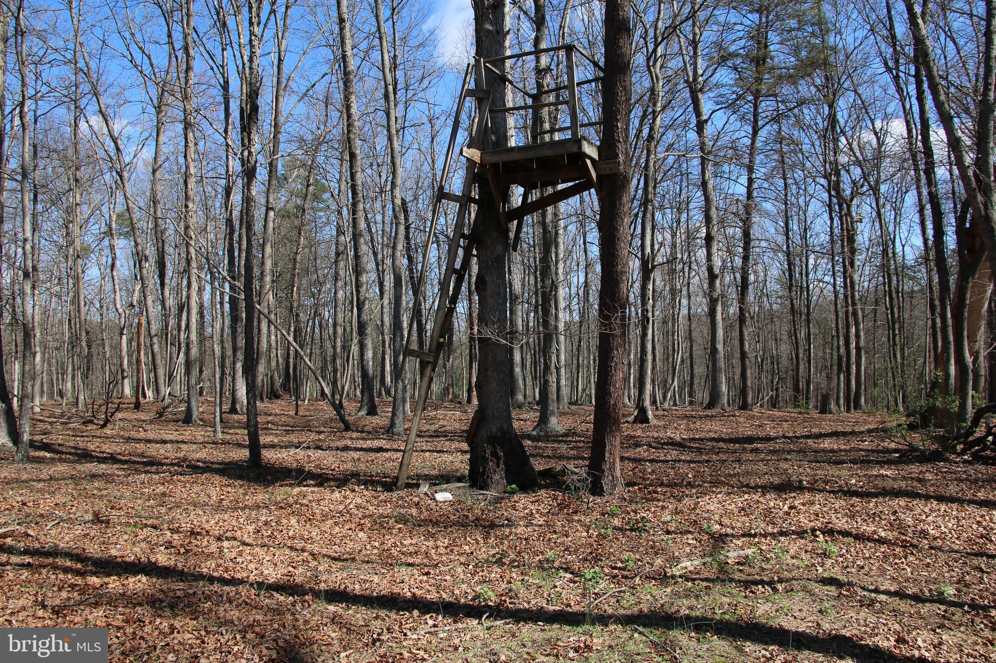Brush Creek Road Winchester, VA 22603 - Photo 30 of 45 a view of a backyard with of trees