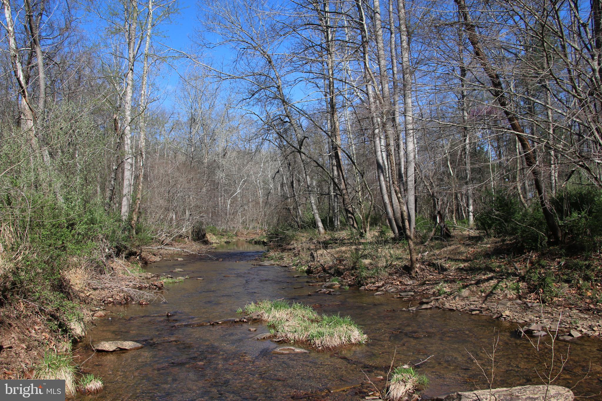 Brush Creek Road Winchester, VA 22603 - Photo 3 of 45 a view of a yard with trees