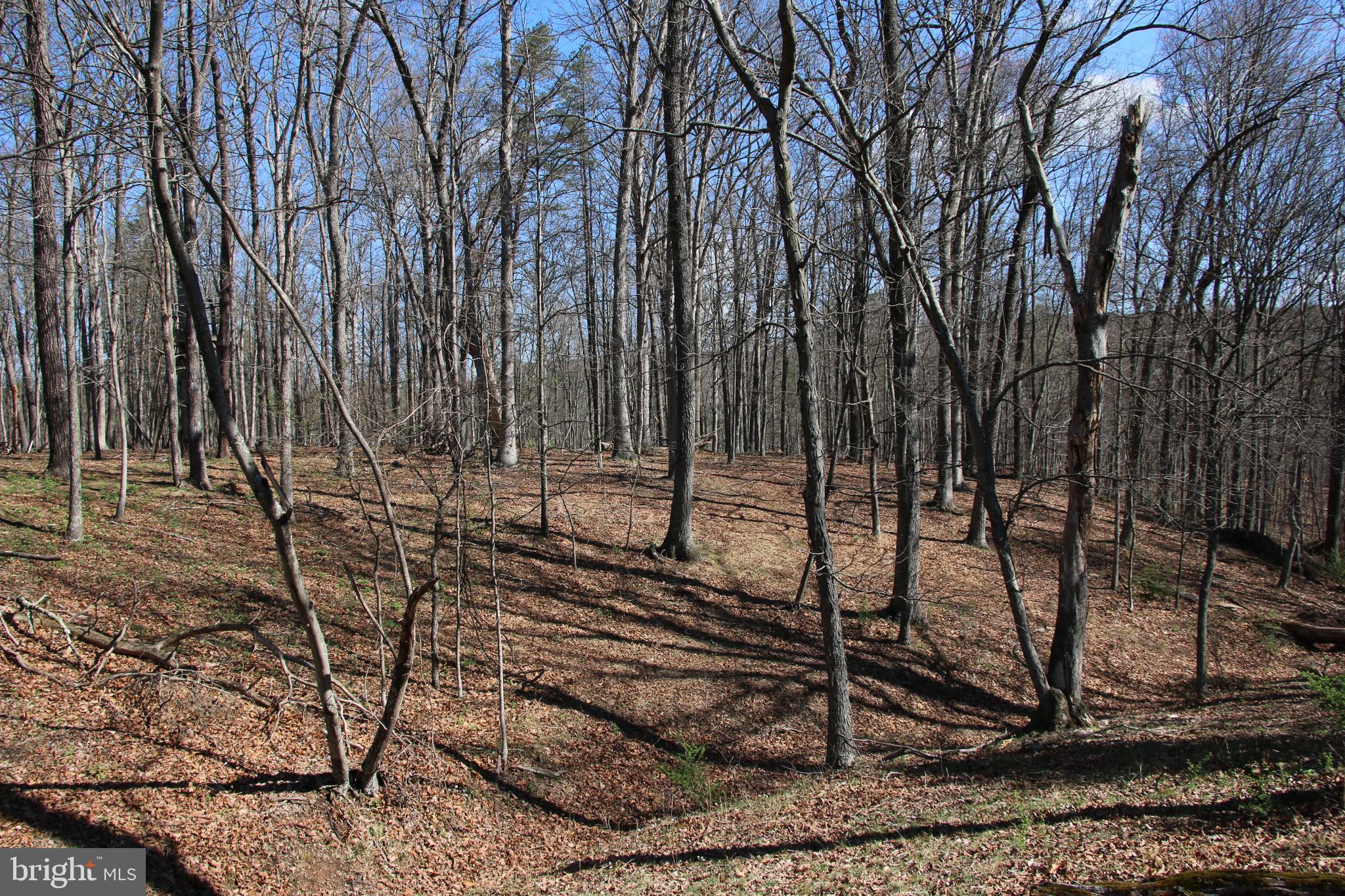 Brush Creek Road Winchester, VA 22603 - Photo 31 of 45 a view of a backyard of the house