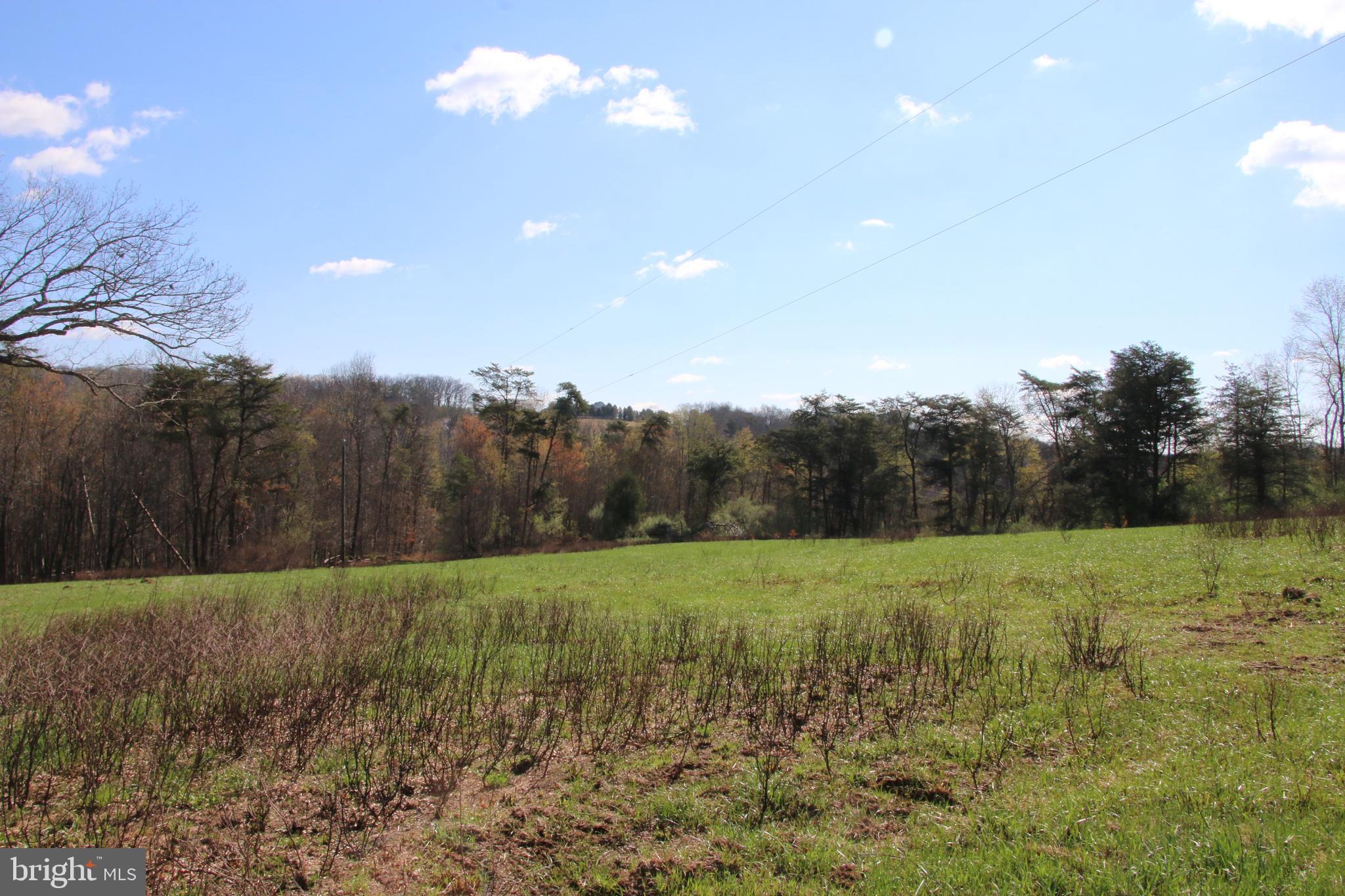 Brush Creek Road Winchester, VA 22603 - Photo 33 of 45 a view of an outdoor space and a yard