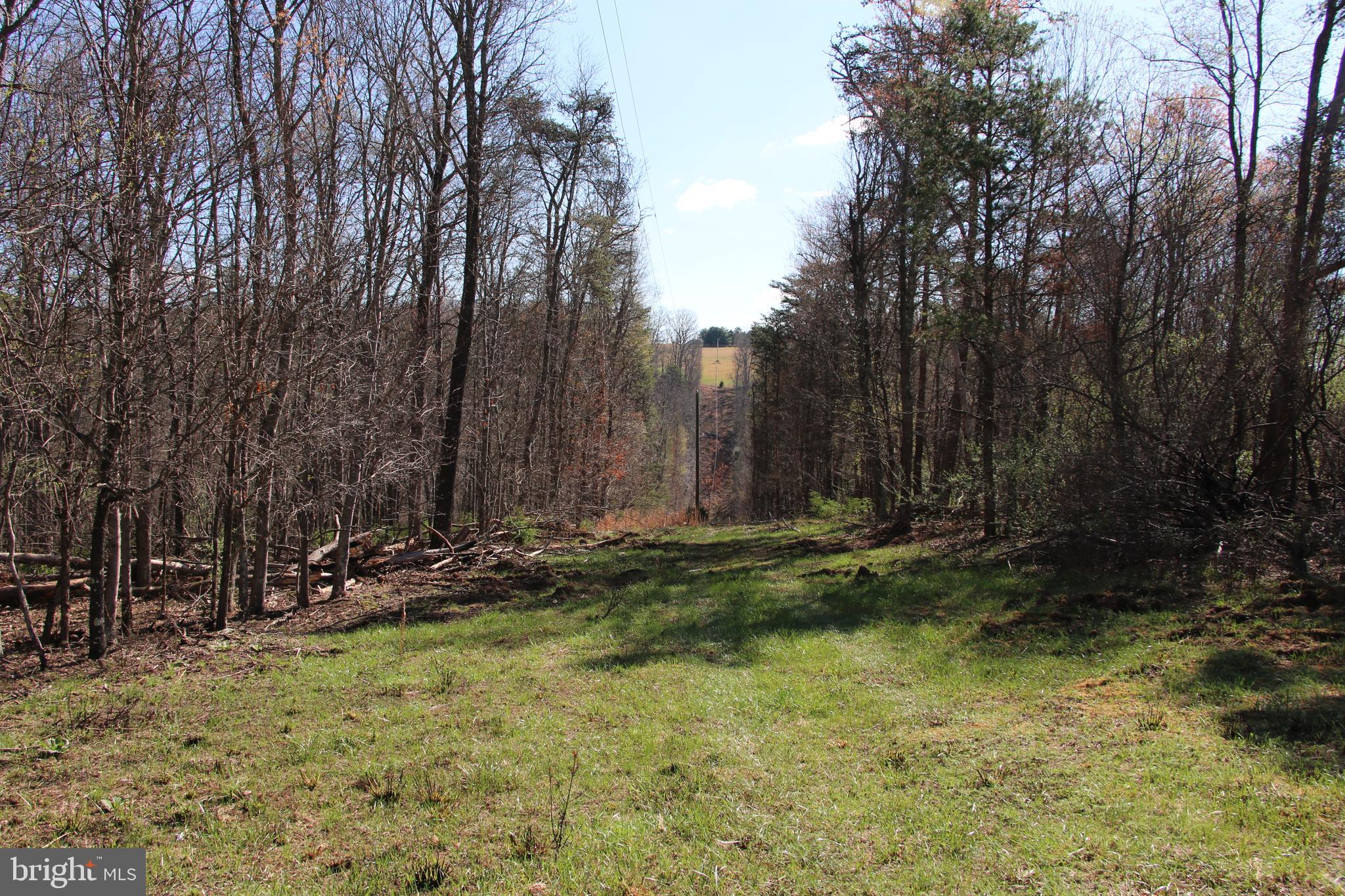 Brush Creek Road Winchester, VA 22603 - Photo 34 of 45 a view of a backyard with trees