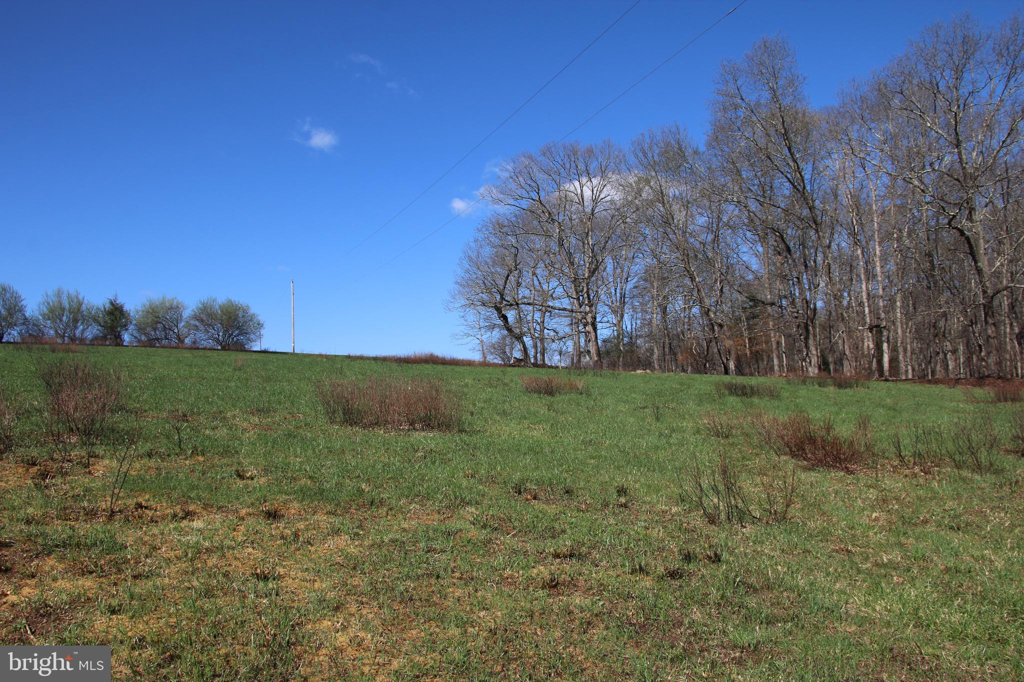 Brush Creek Road Winchester, VA 22603 - Photo 35 of 45 a view of a field with tree in the background