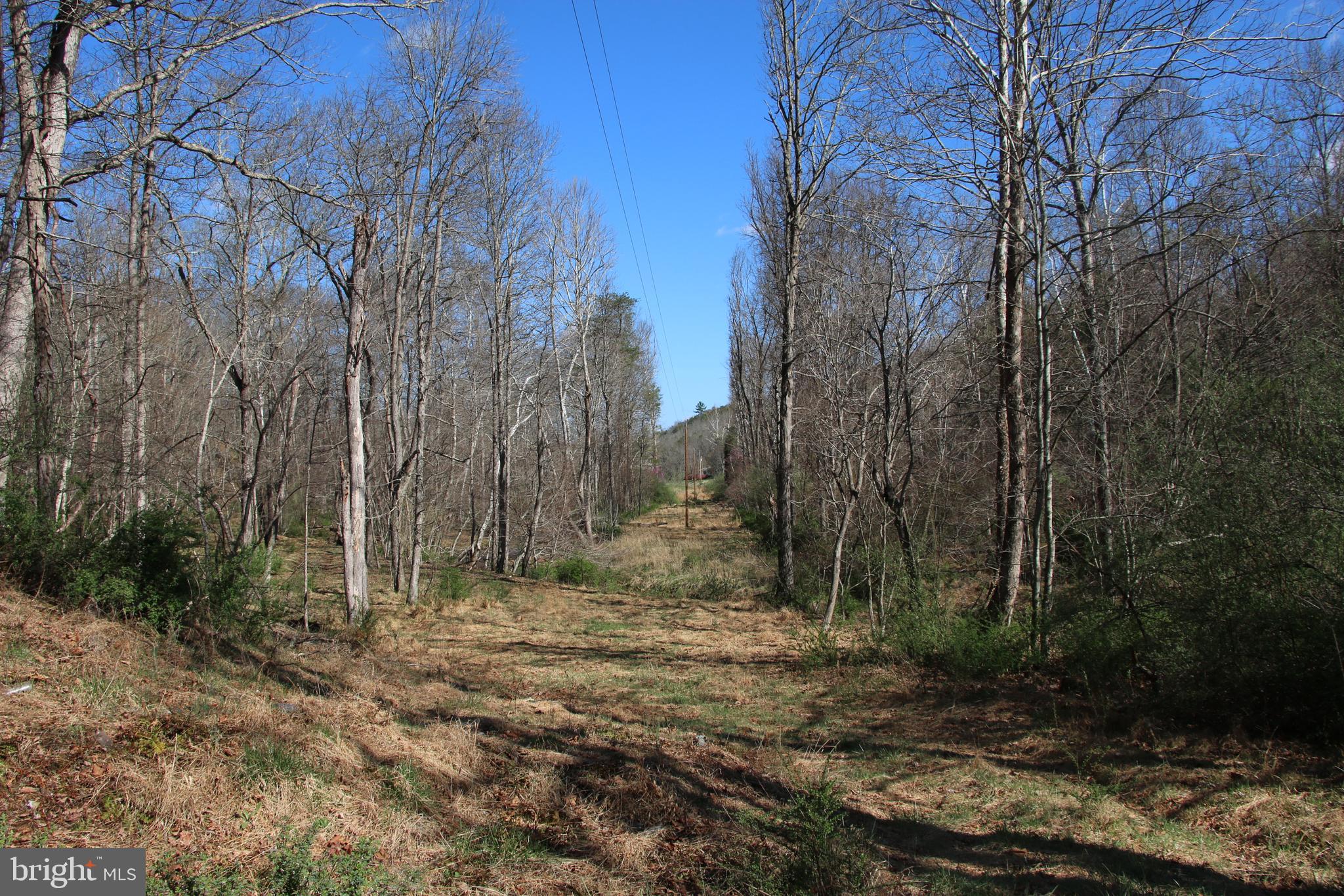Brush Creek Road Winchester, VA 22603 - Photo 36 of 45 a view of a yard with trees