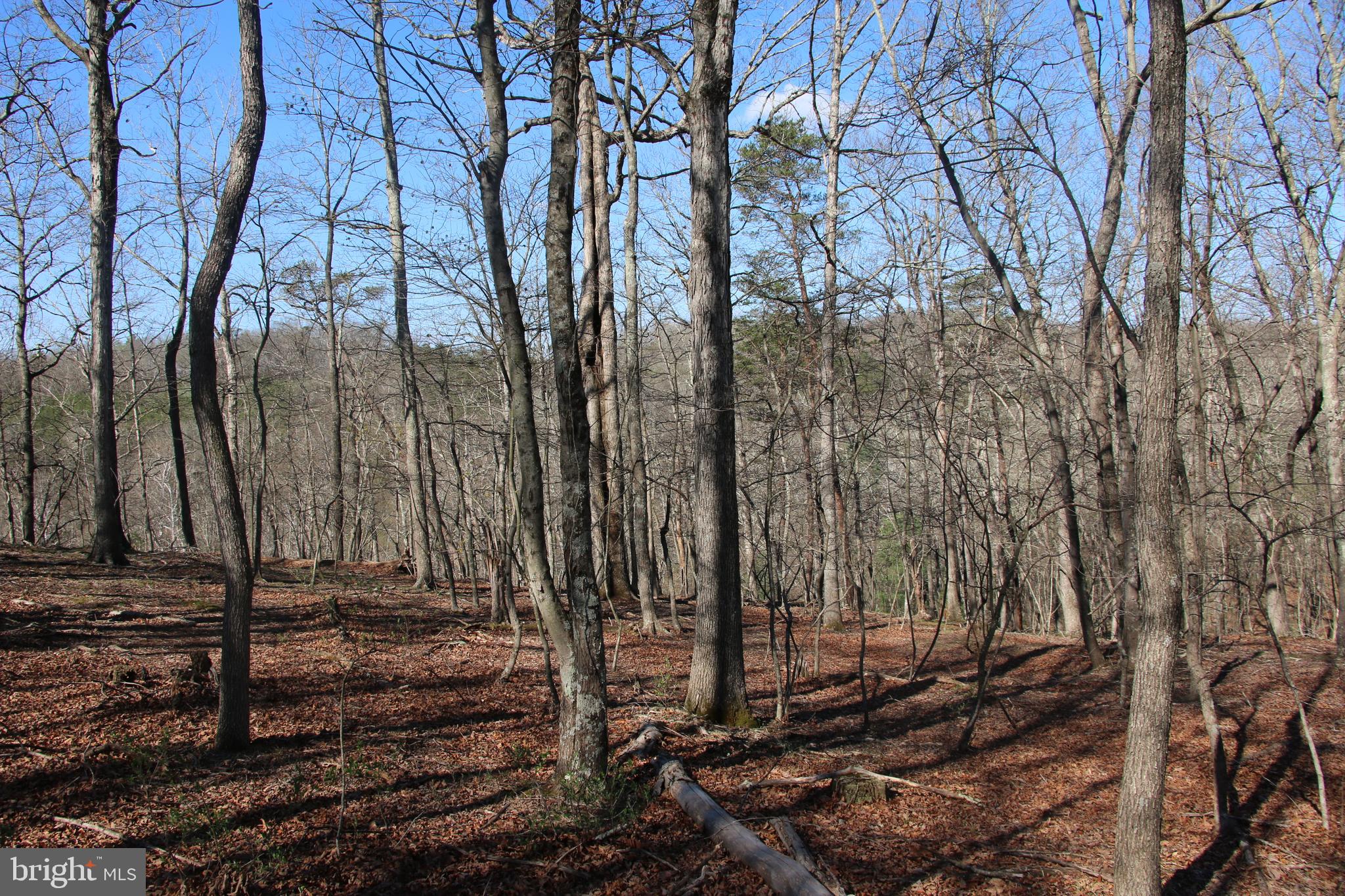 Brush Creek Road Winchester, VA 22603 - Photo 38 of 45 a view of a backyard