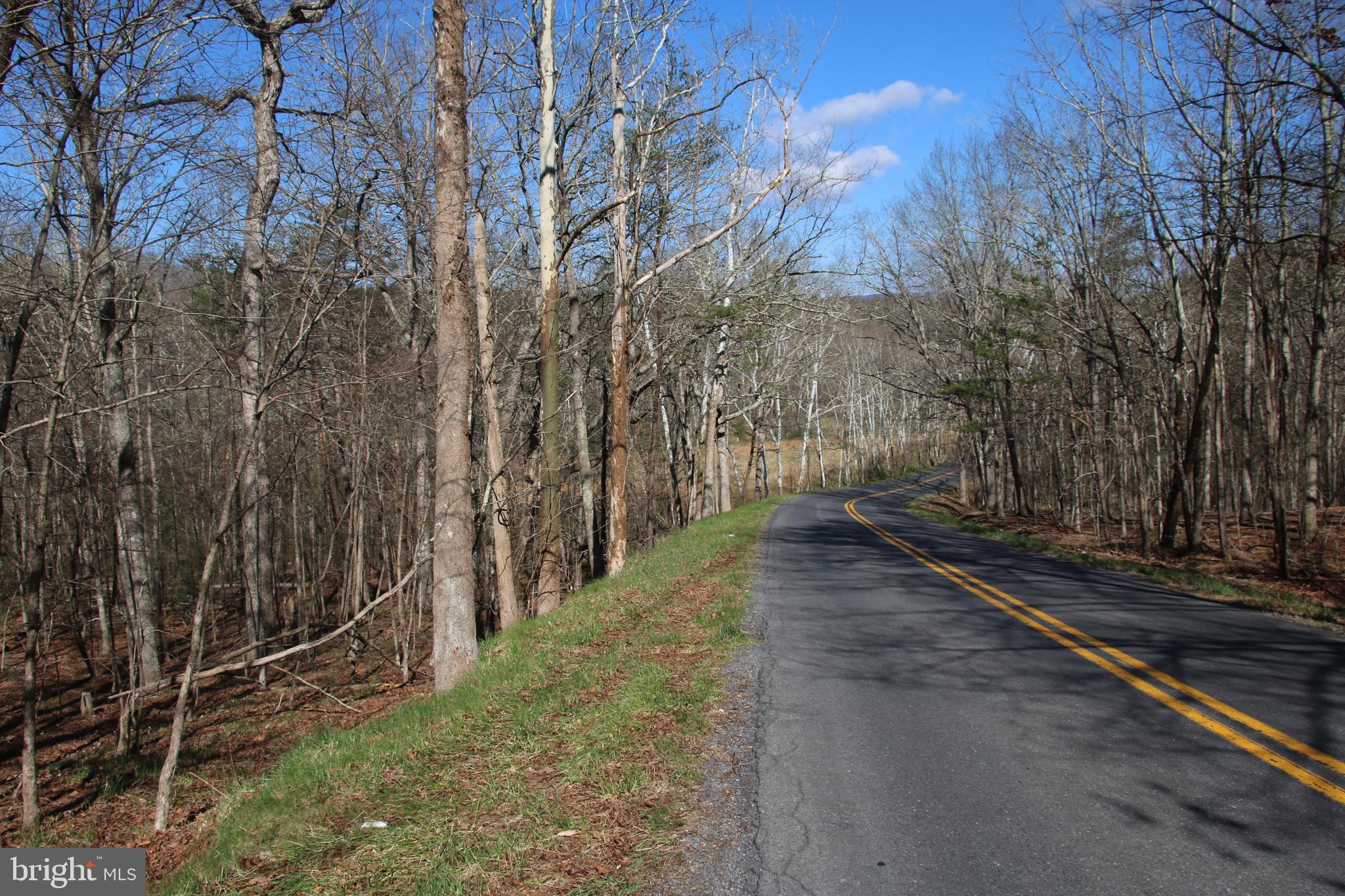 Brush Creek Road Winchester, VA 22603 - Photo 39 of 45 a view of a pathway of a yard