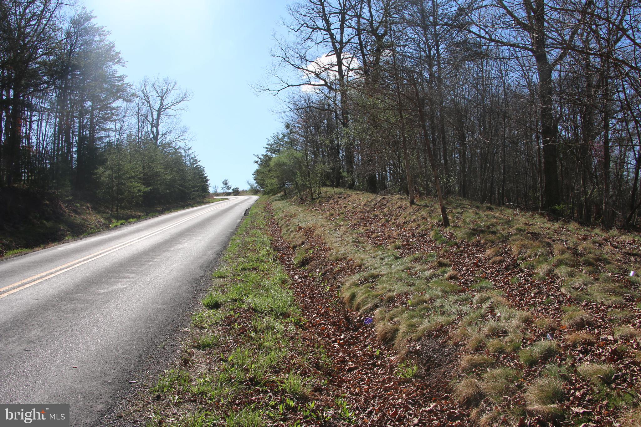 Brush Creek Road Winchester, VA 22603 - Photo 40 of 45 a view of a yard with large trees