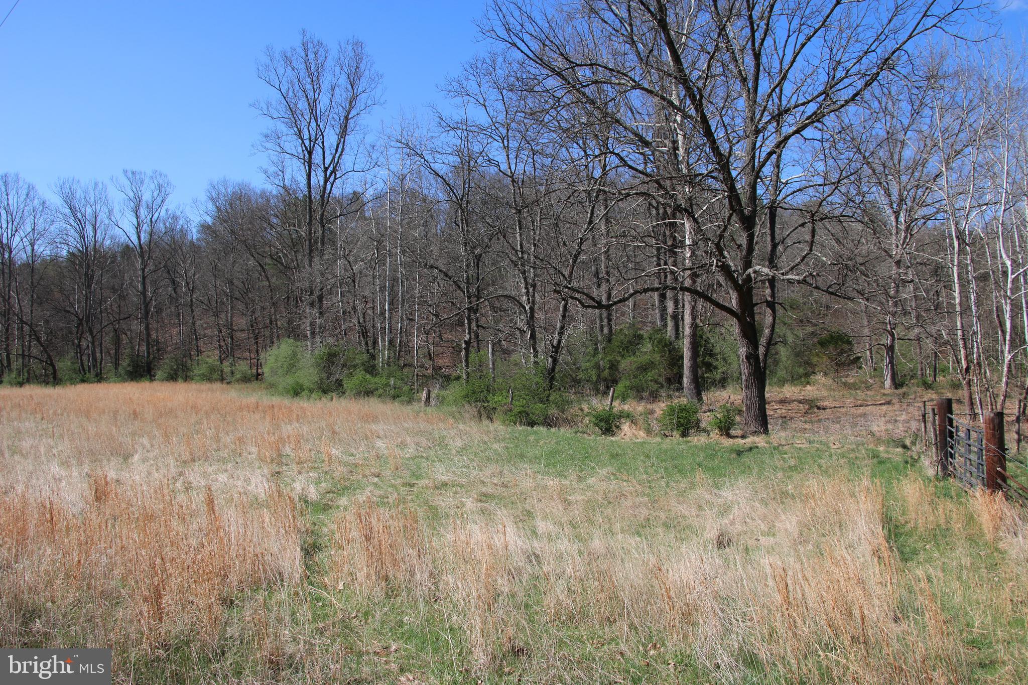 Brush Creek Road Winchester, VA 22603 - Photo 4 of 45 a backyard of a house with lots of green space