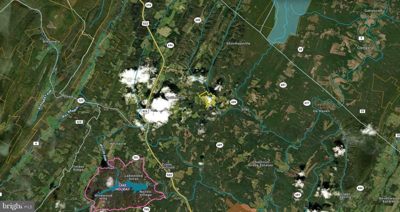 Brush Creek Road Winchester, VA 22603 - Photo 44 of 45 a picture of tree