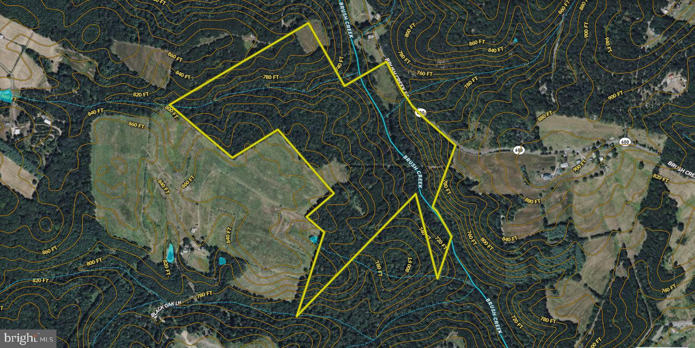 Brush Creek Road Winchester, VA 22603 - Photo 45 of 45 a close up of a plant in a garden