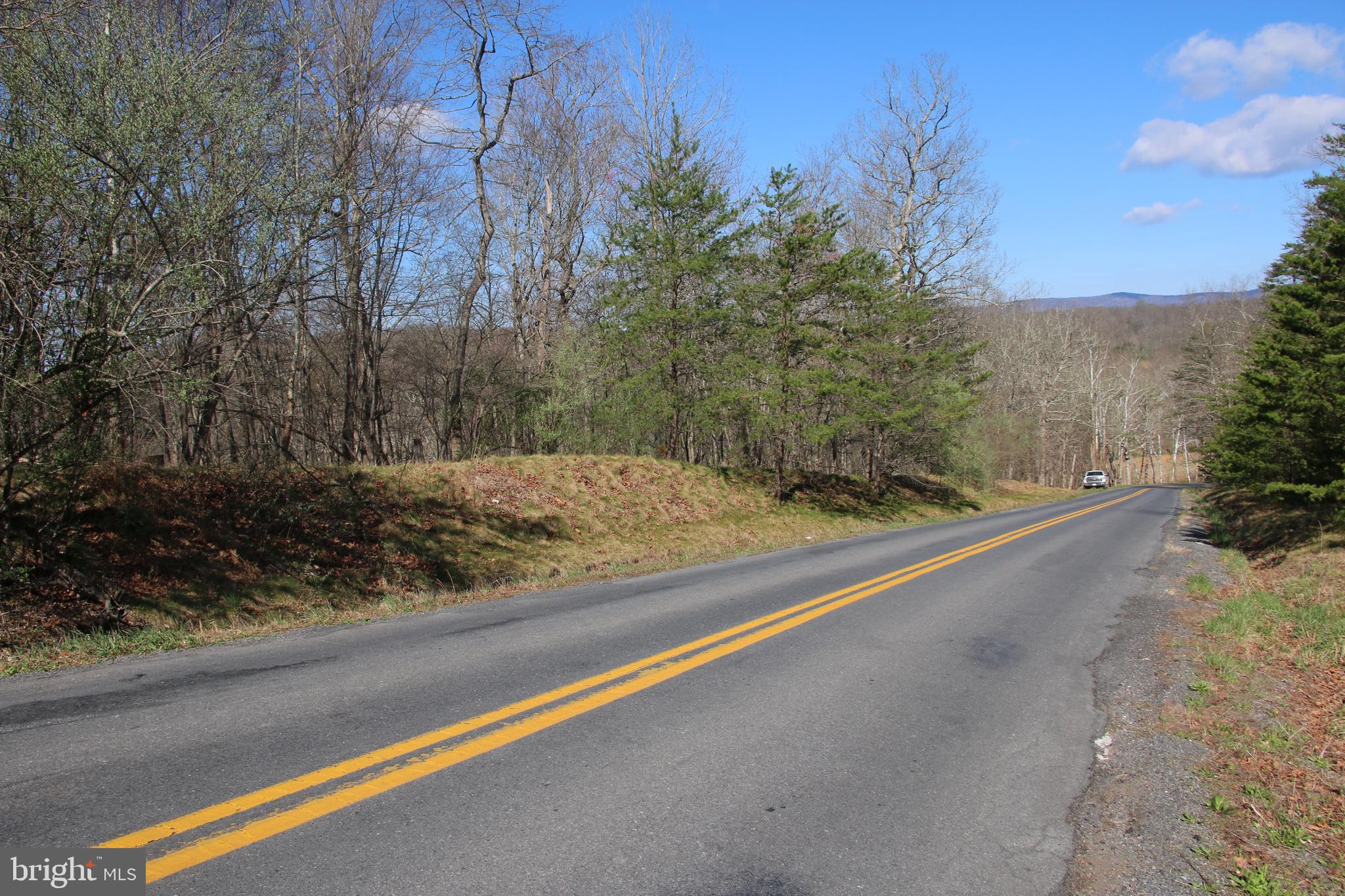 Brush Creek Road Winchester, VA 22603 - Photo 5 of 45 a view of backyard