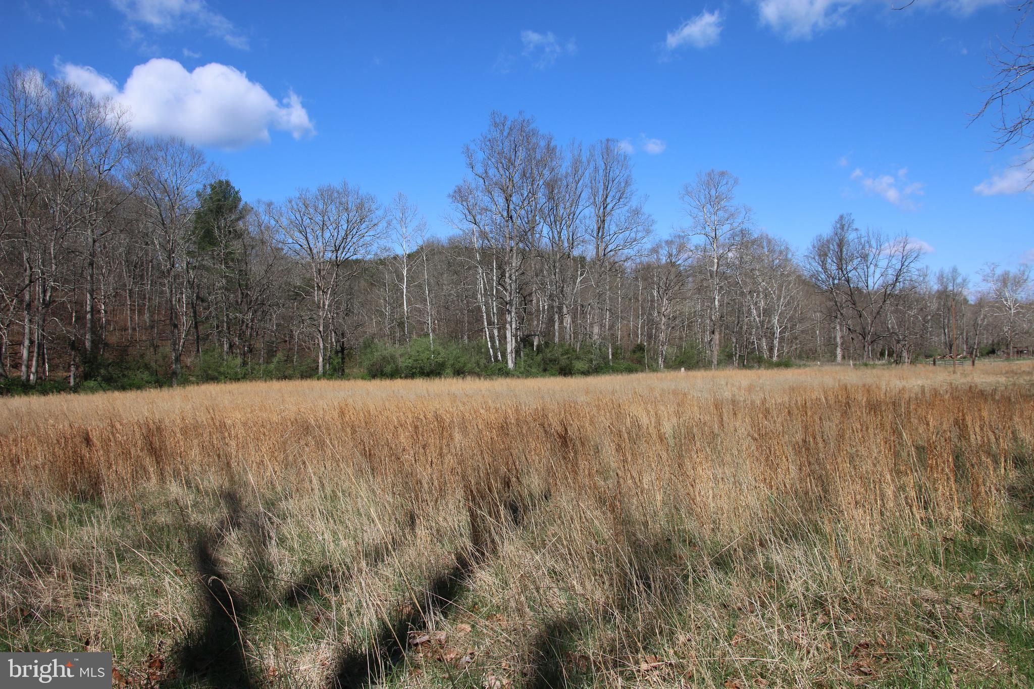 Brush Creek Road Winchester, VA 22603 - Photo 6 of 45 a view of a dry yard