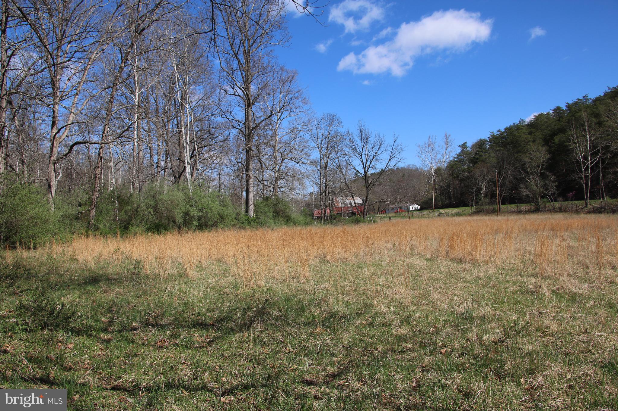Brush Creek Road Winchester, VA 22603 - Photo 9 of 45 a view of yard covered with snow in front of house