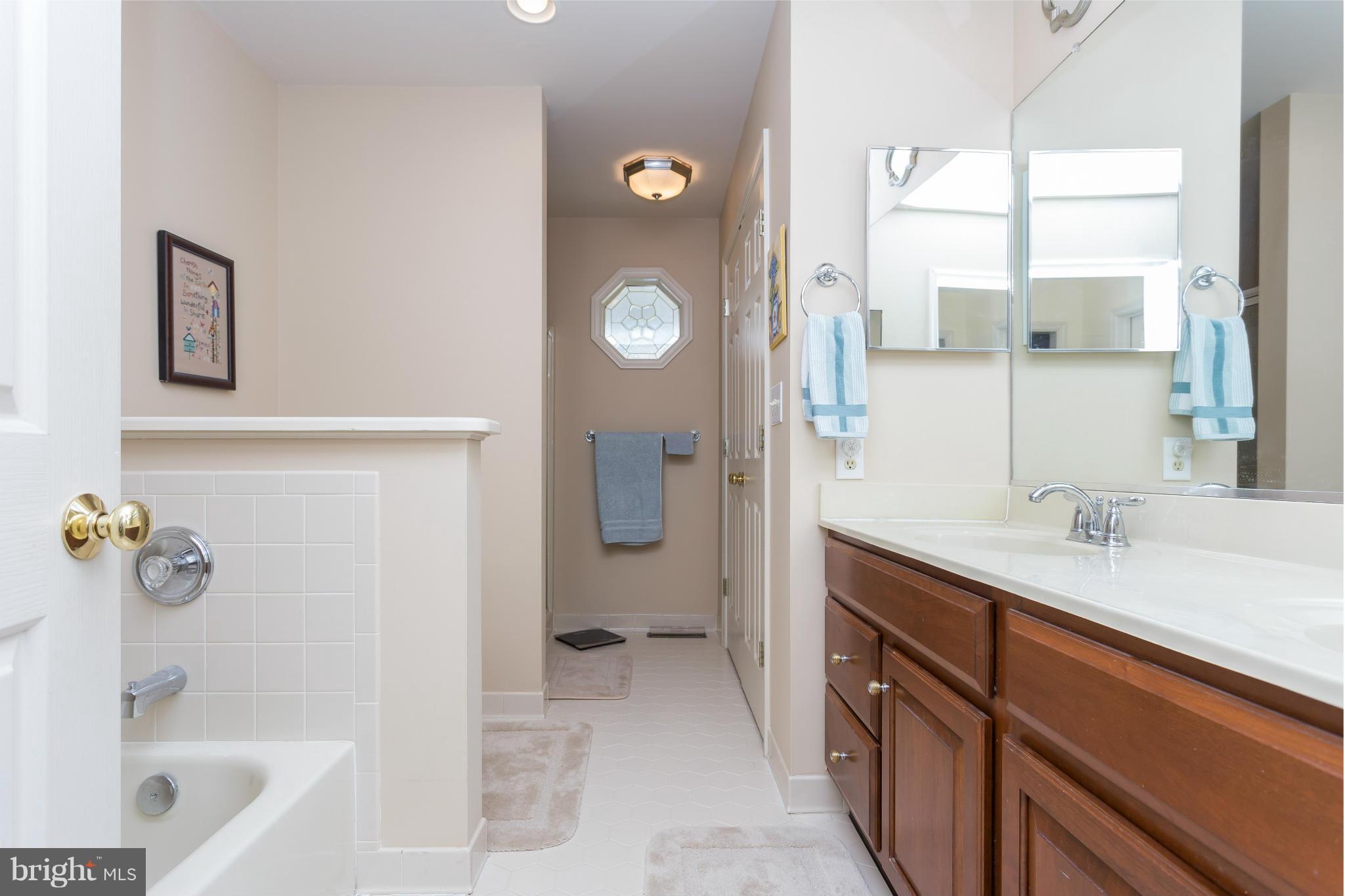 507 Birdie Road Locust Grove, VA 22508 - Photo 13 of 30 Bath (Master) Separate Tub & Shower