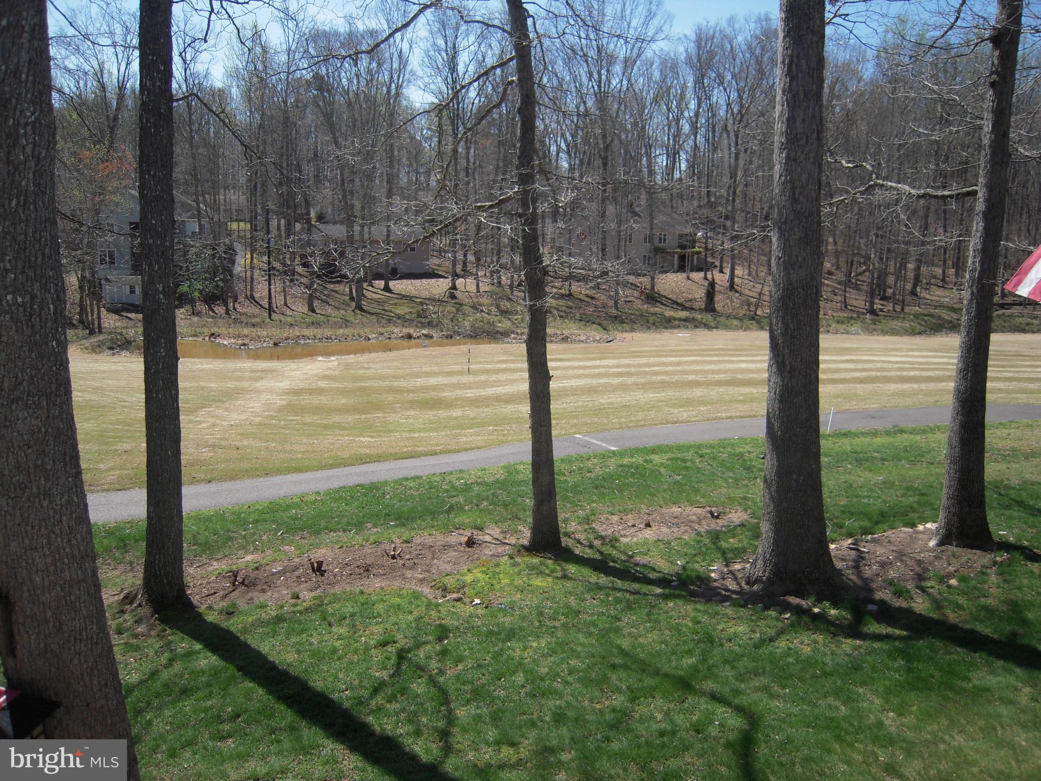507 Birdie Road Locust Grove, VA 22508 - Photo 19 of 30 Golf Course View from Deck