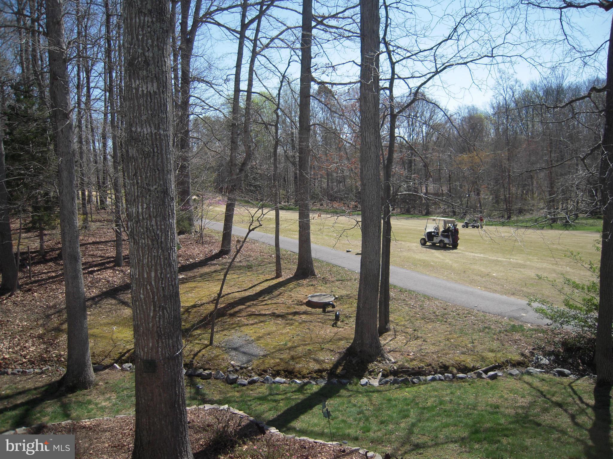 507 Birdie Road Locust Grove, VA 22508 - Photo 20 of 30 View of Golf Course from Deck