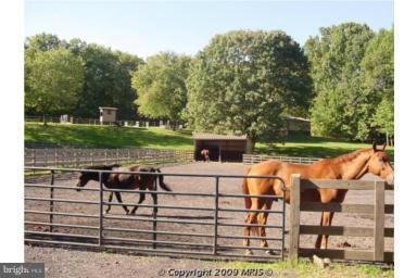 507 Birdie Road Locust Grove, VA 22508 - Photo 29 of 30 Stables
