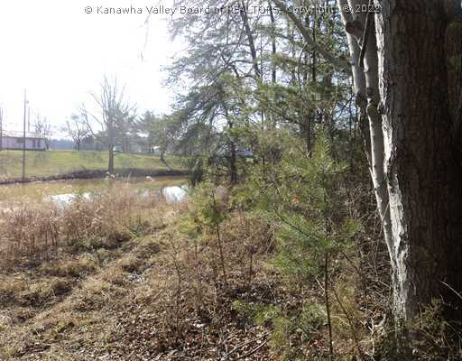 288 Shinn Lane Ripley, WV 25271 - Photo 3 of 16 Land. Lots of space on the other side of the pond