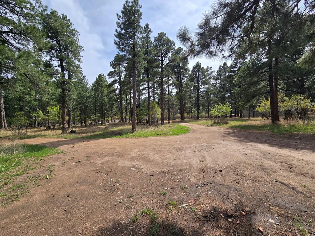 8229 Green Lane Rye, CO 81069 - Photo 20 of 24 a view of outdoor space with trees