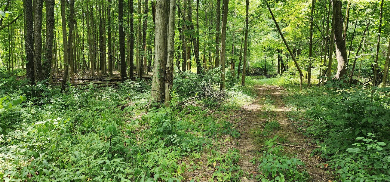 0 Hulberton Road Holley, NY 14470 - Photo 13 of 43