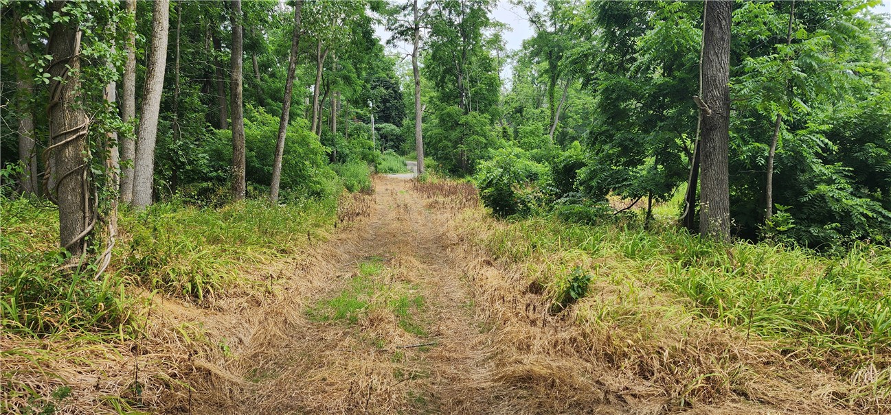 0 Hulberton Road Holley, NY 14470 - Photo 15 of 43