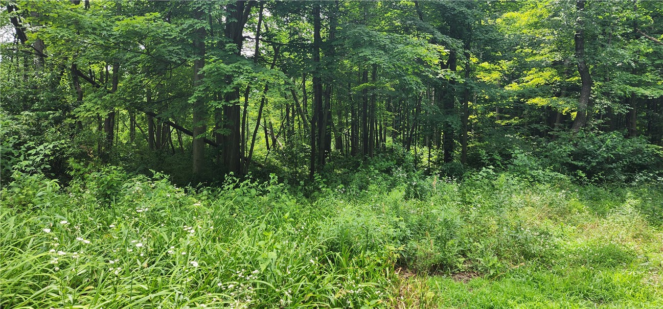 0 Hulberton Road Holley, NY 14470 - Photo 16 of 43