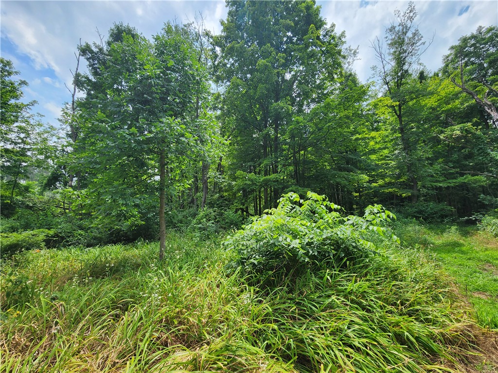 0 Hulberton Road Holley, NY 14470 - Photo 17 of 43