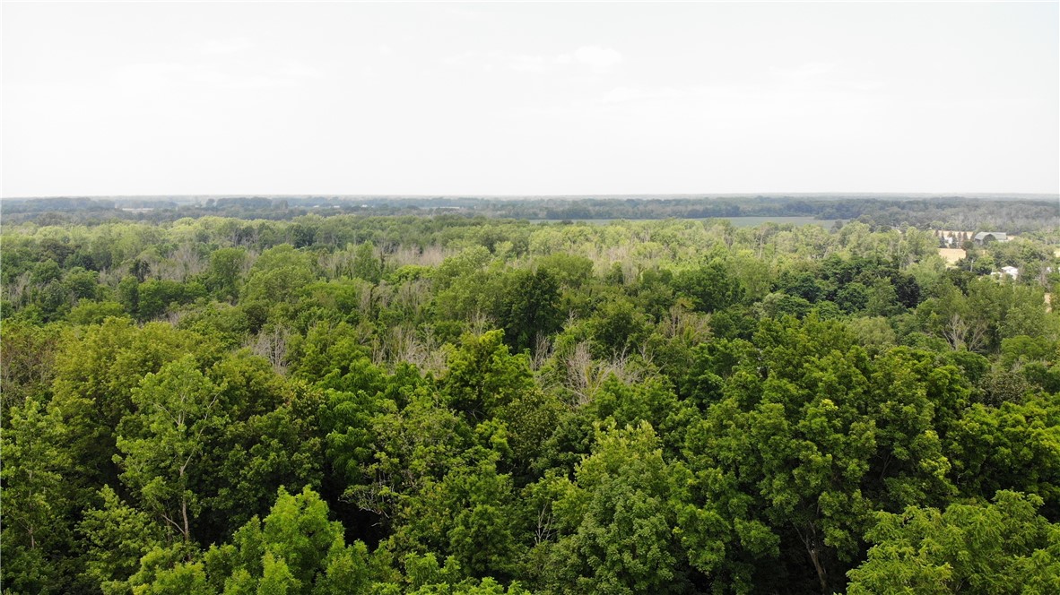 0 Hulberton Road Holley, NY 14470 - Photo 25 of 43