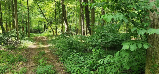 $180,000 | 0 Hulberton Road, Holley, NY 14470